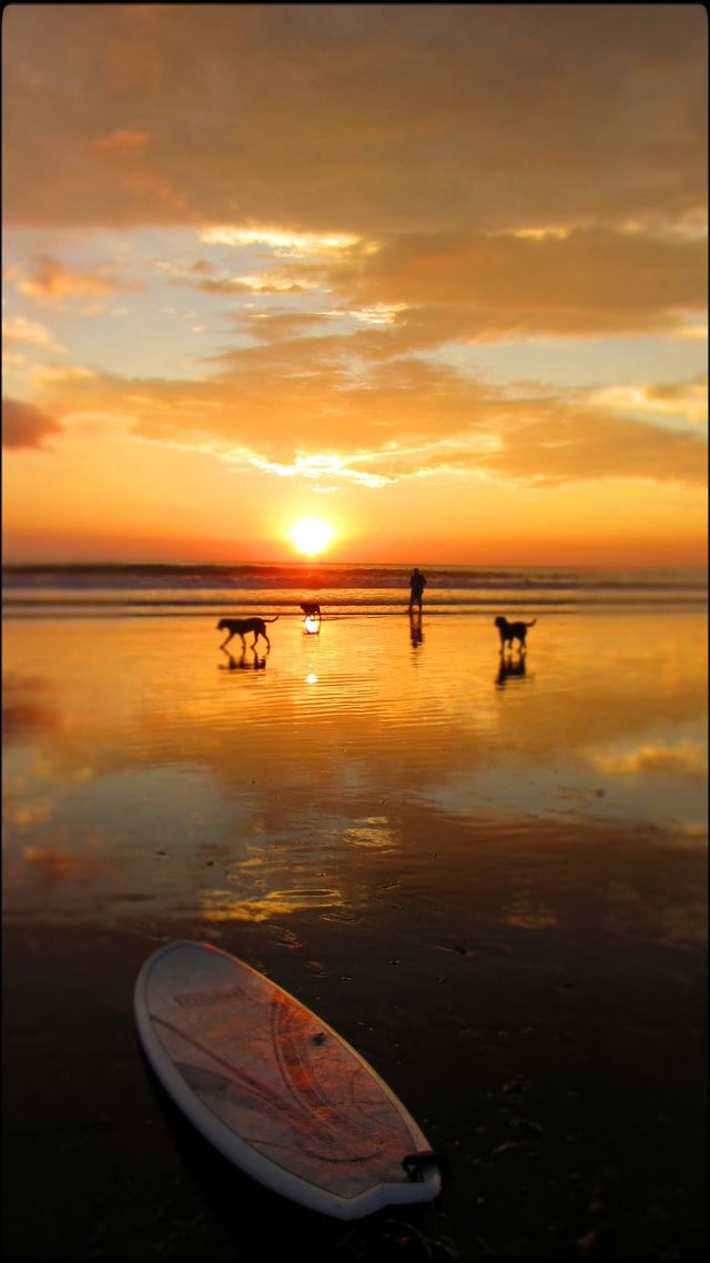 sunset