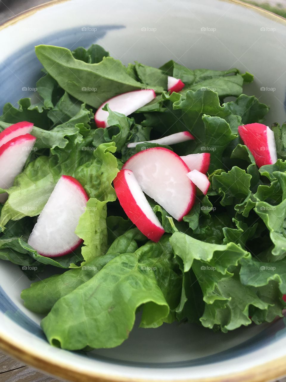 Close up of garden salad. Fresh lettuce greens and radishes in white ceramic bowl. 