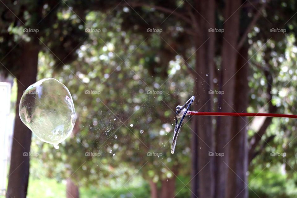 Big soap bubble get out from it ring