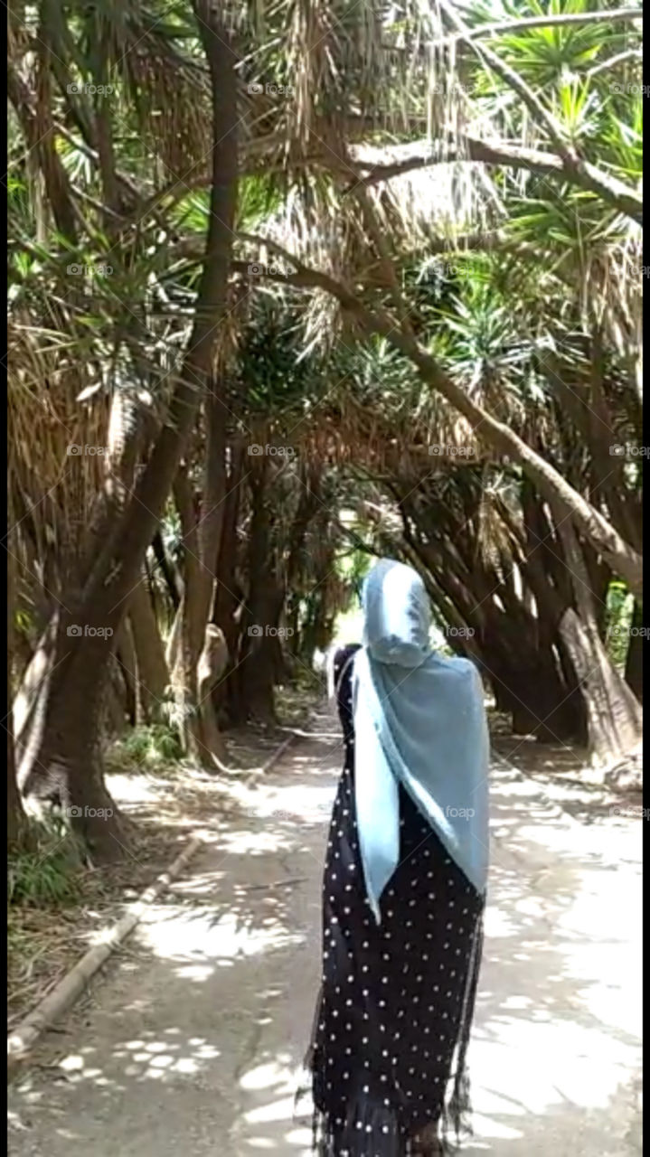 Walking in E Hamma ( Algerian garden)