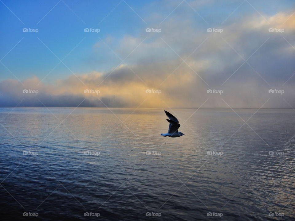 hudson river ny clouds river fog by delvec