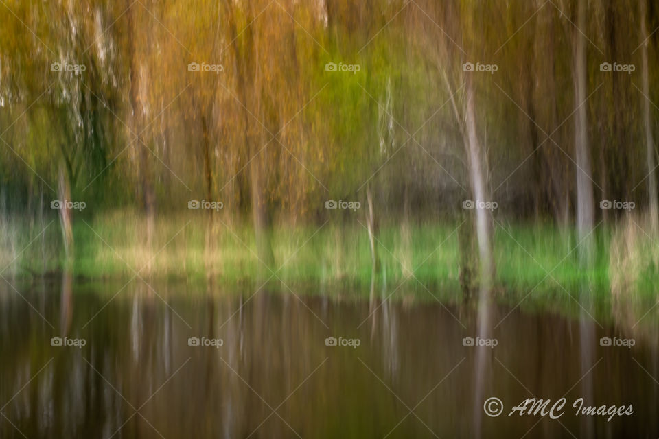Intentional blur abstract landscape