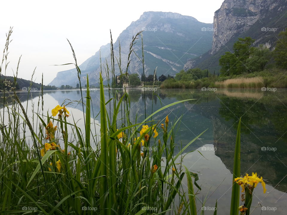 Toblino lake - Trentino - Italy - water