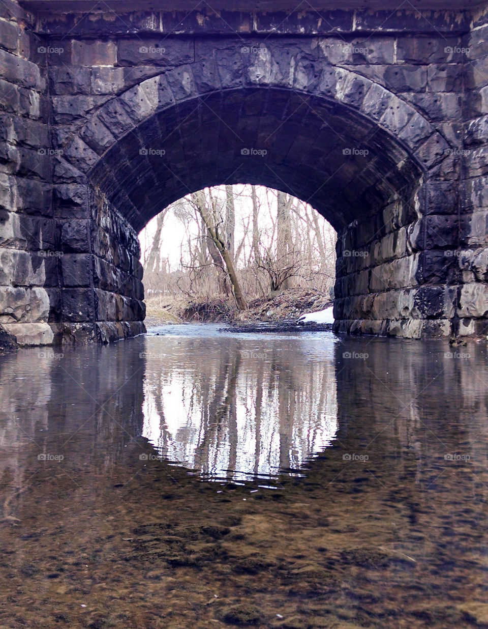 bridge reflections