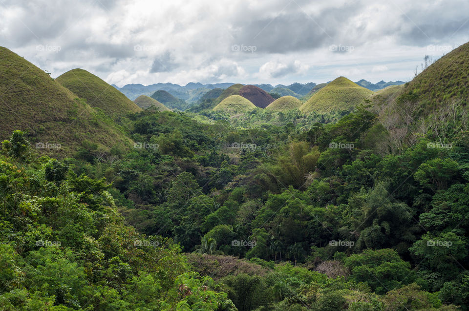 Bohol Chocolate Hills, Philippines 
