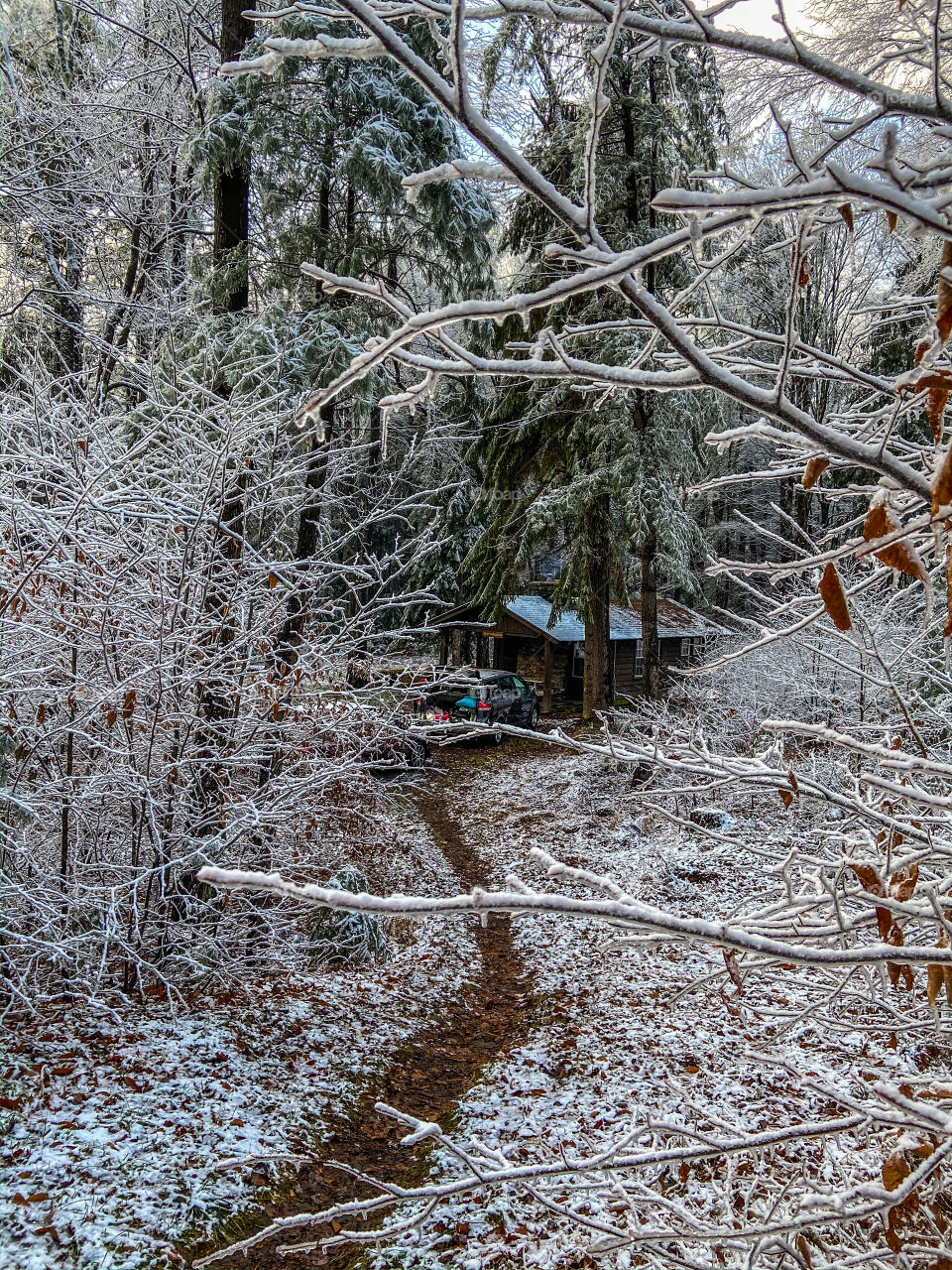 Winter snow cabin in the woods 