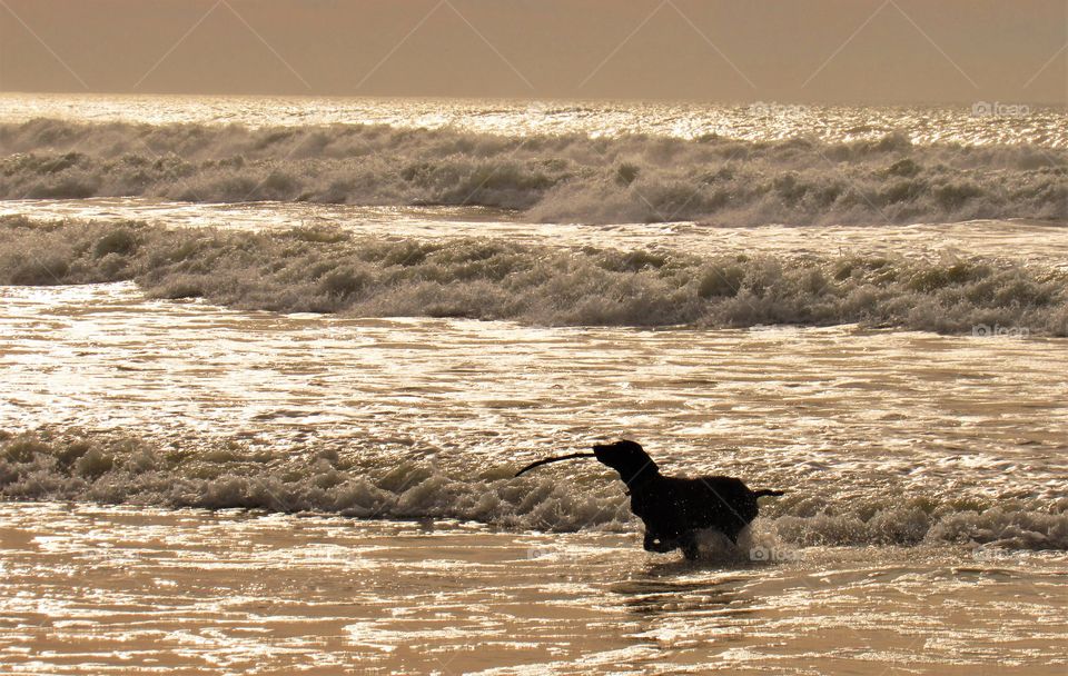 On the beach