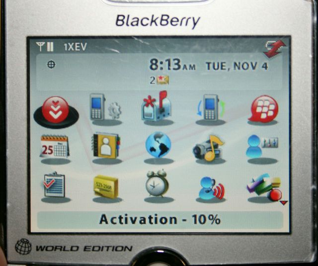 Old blackberry