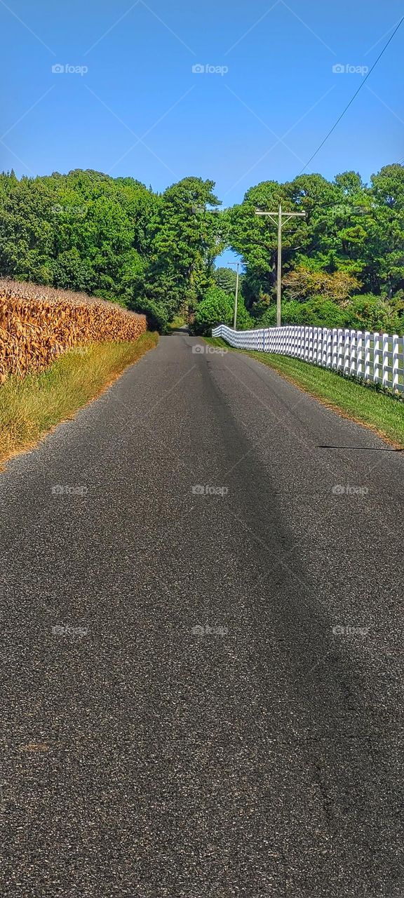 country road