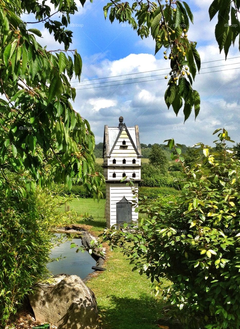 Bird hotel!