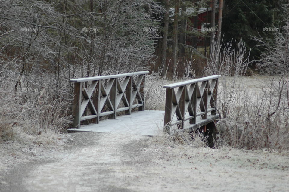 bridge ice snow frost