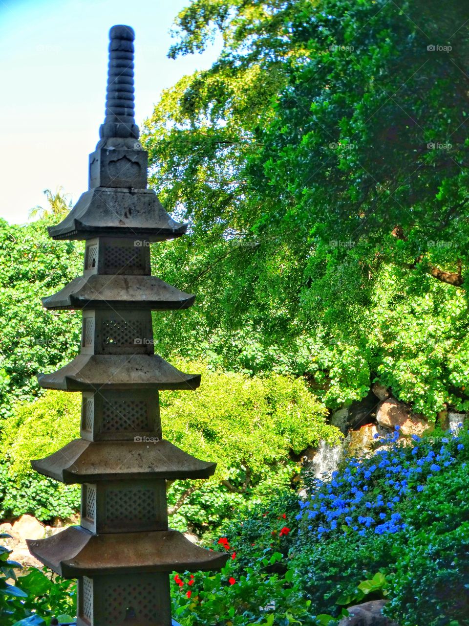 Japanese Tea Garden