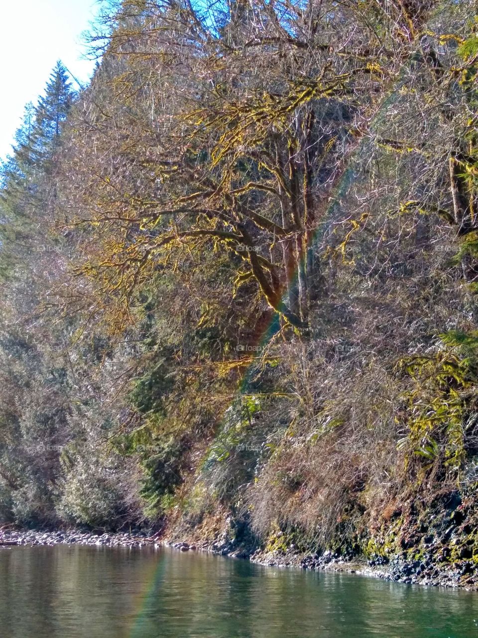 Wonderful End of Rainbow in Oregon Forest "Pot of Gold"