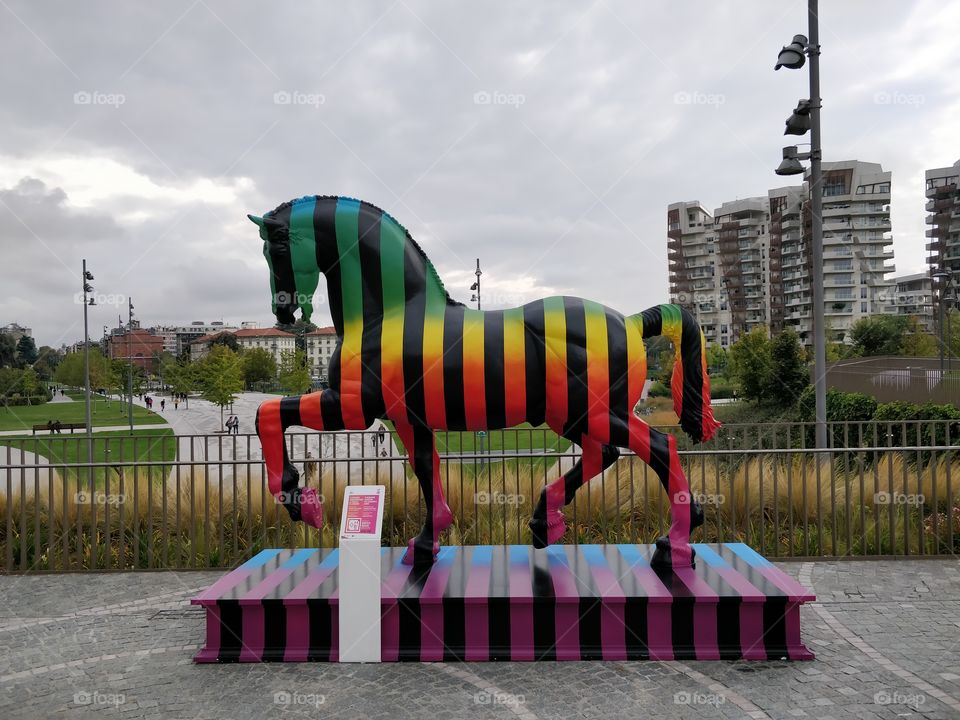 Zebra, Milano