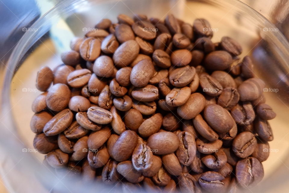 Coffee seed