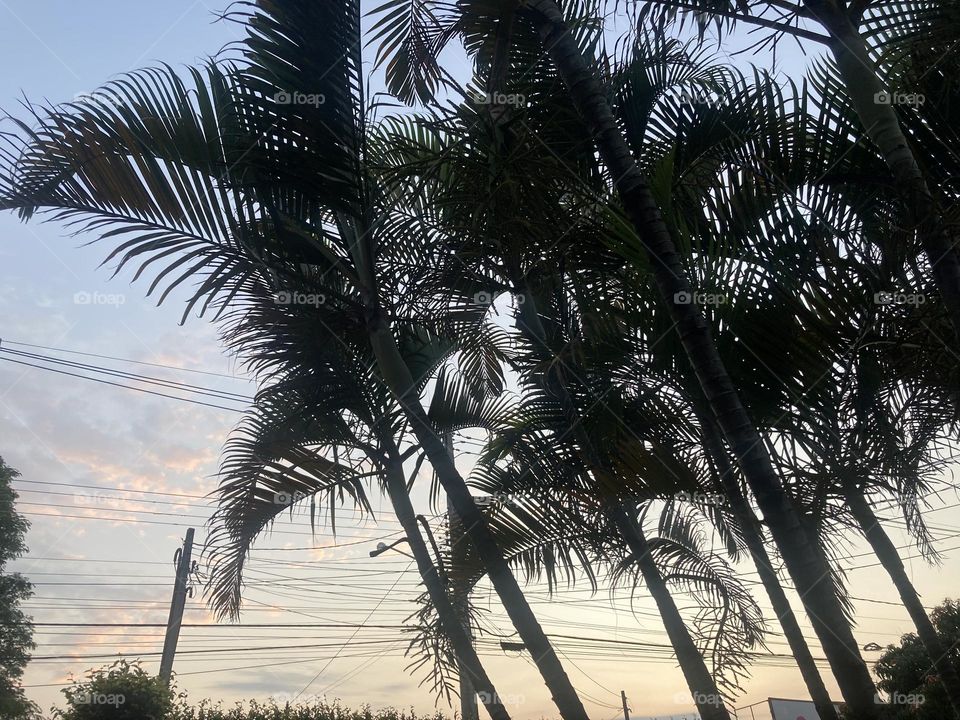 🌄🇺🇸 An extremely beautiful dawn in Jundiaí, interior of Brazil. Cheer the nature! / 🇧🇷 Um amanhecer extremamente bonito em Jundiaí, interior do Brasil. Viva a natureza! 
