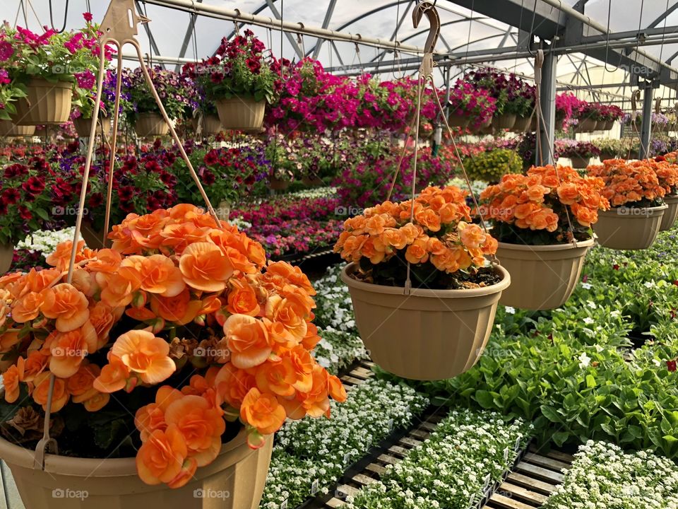 Orange Flower Baskets