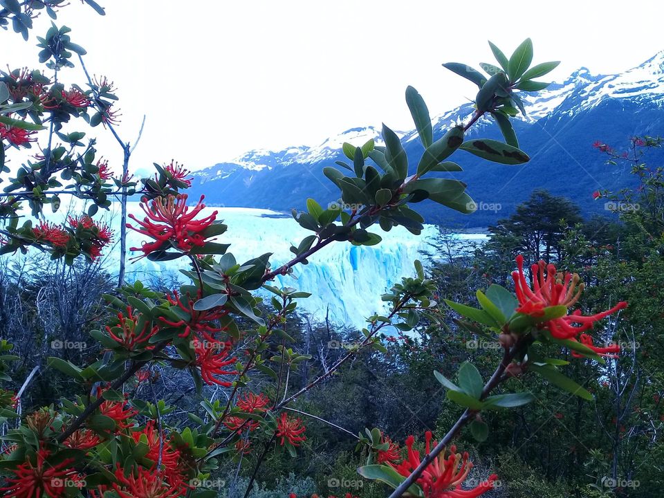 Glaciar Perito Moreno