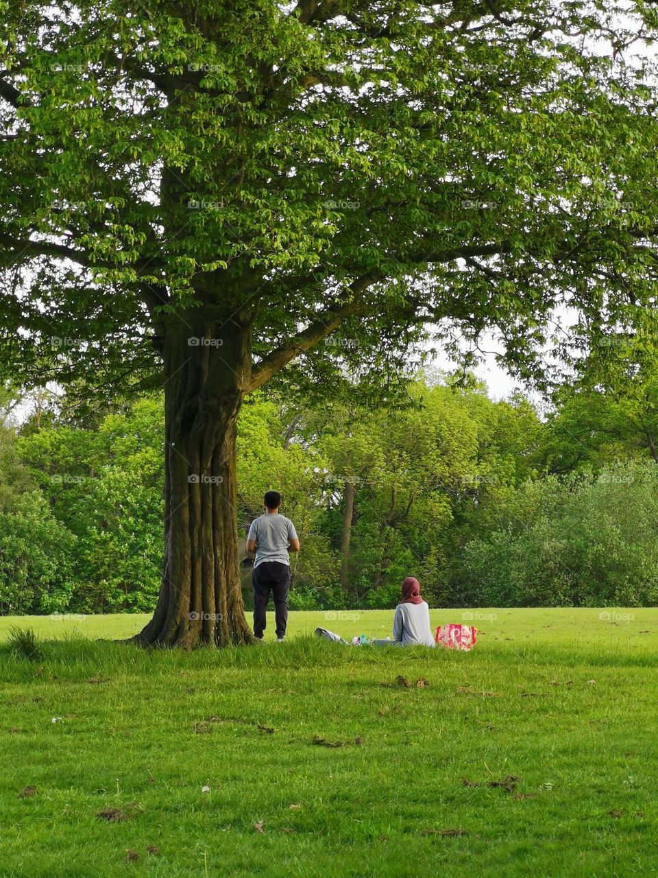 Picnic in the park.