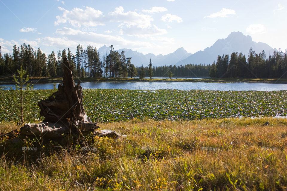 Grand Tetons