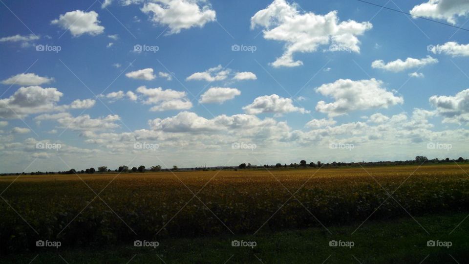 clouds and fields 