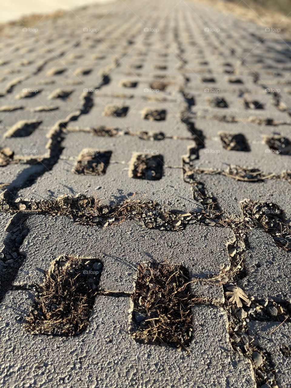 Cemented pathway to the river