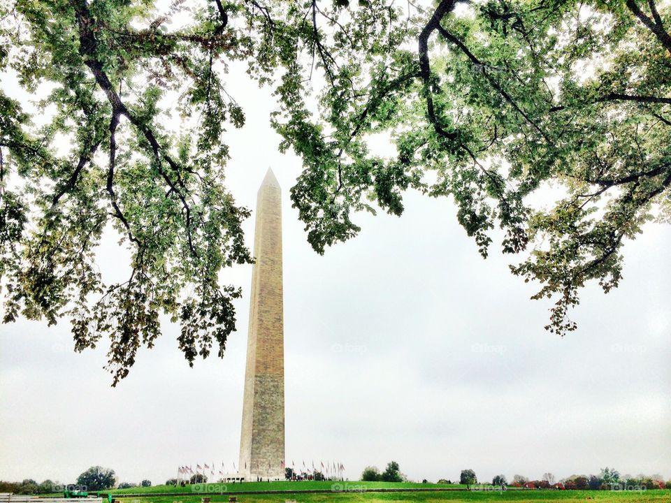 Washington Monument in the trees