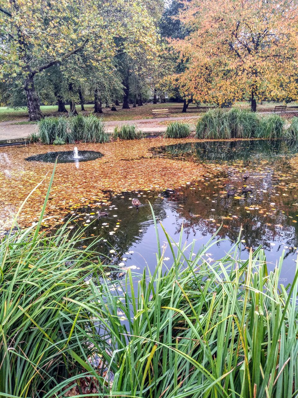 Autumn in Walpole Park, London