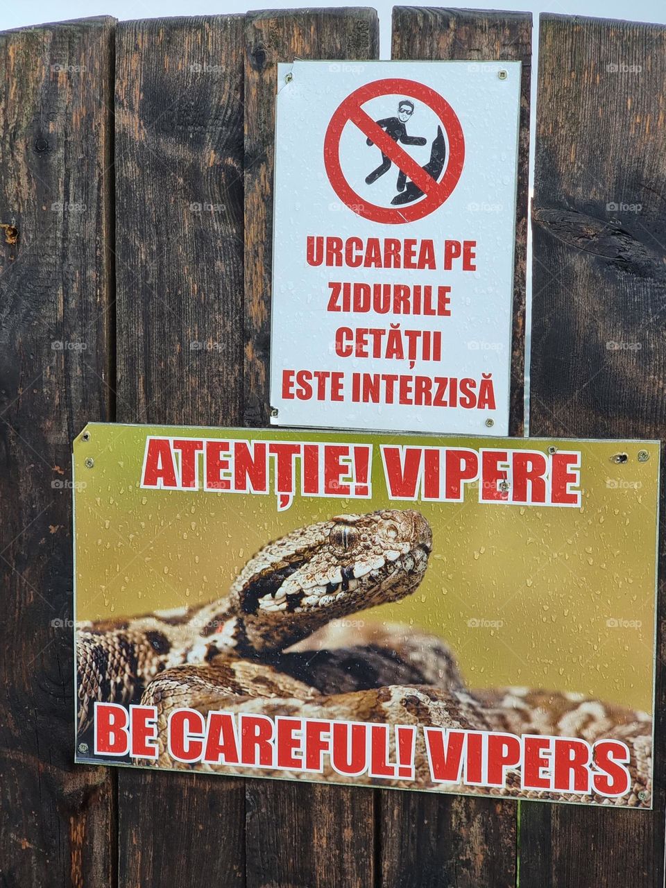 Warning signs, warning against vipers