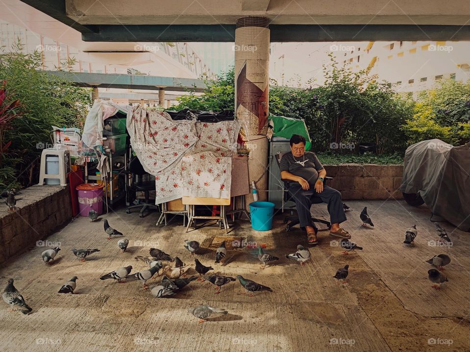 Feral pigeons and people harmoniously share the same place to rest.