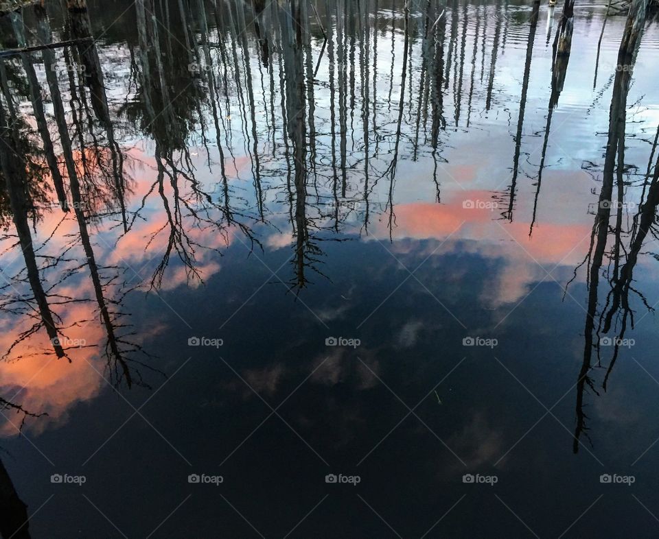 Pink clouds in water