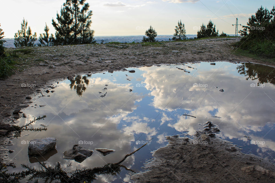 Cloudy sky reflection of a forest