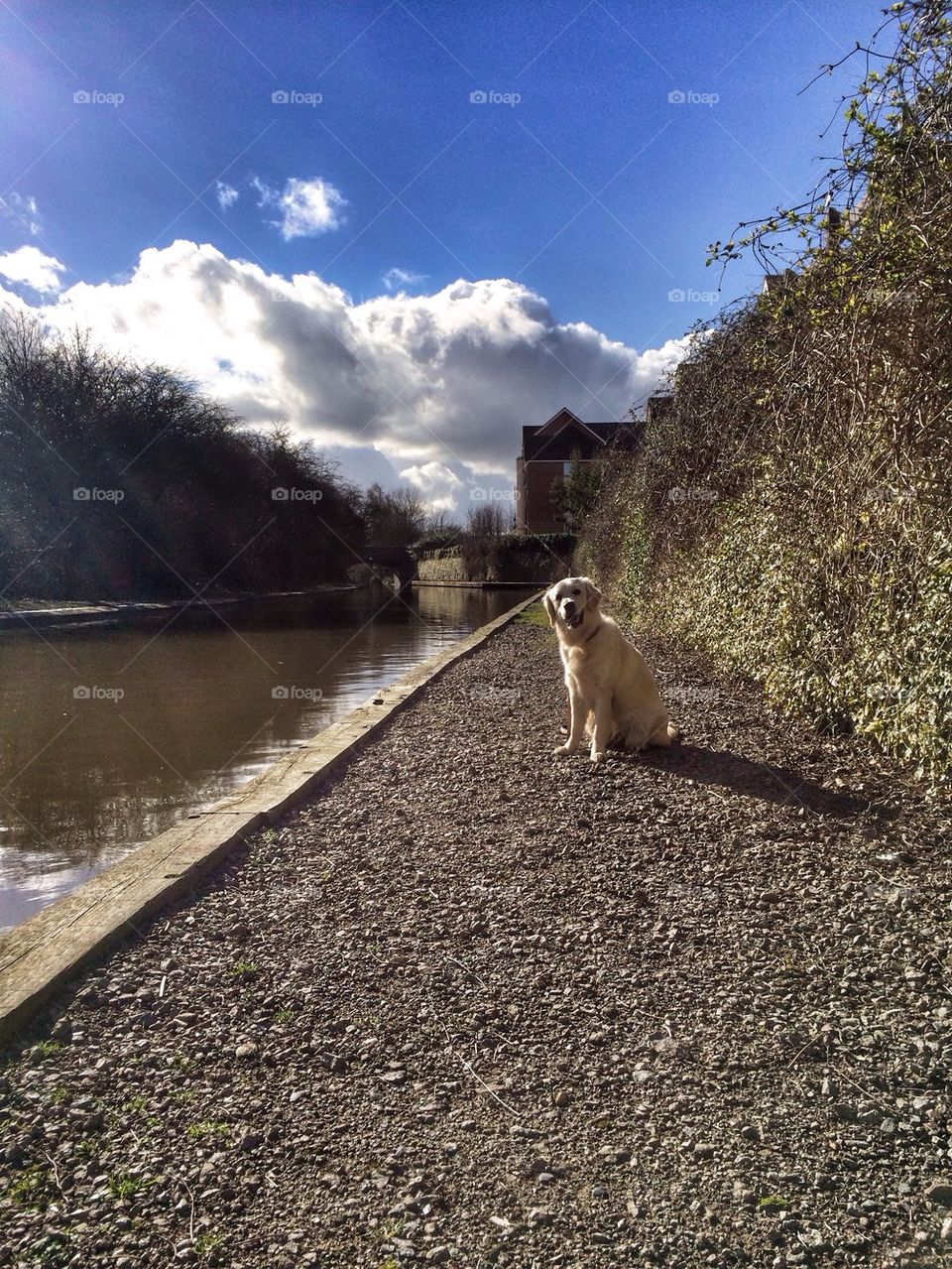 Zoe posing at the canal