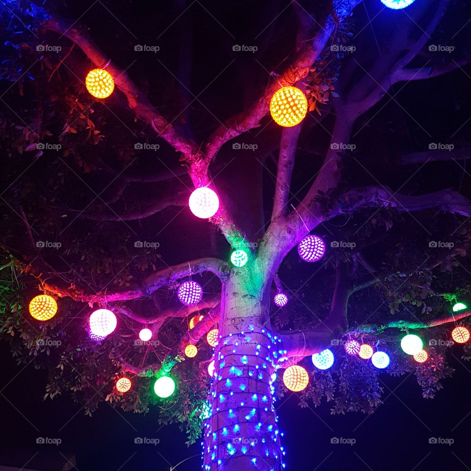 Somewhere at Beverly Hills