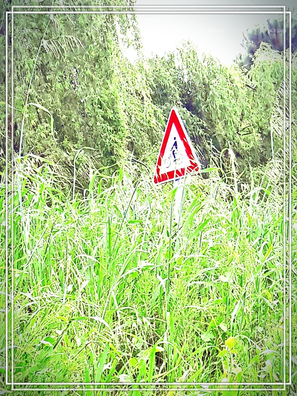 cycling in the jungle