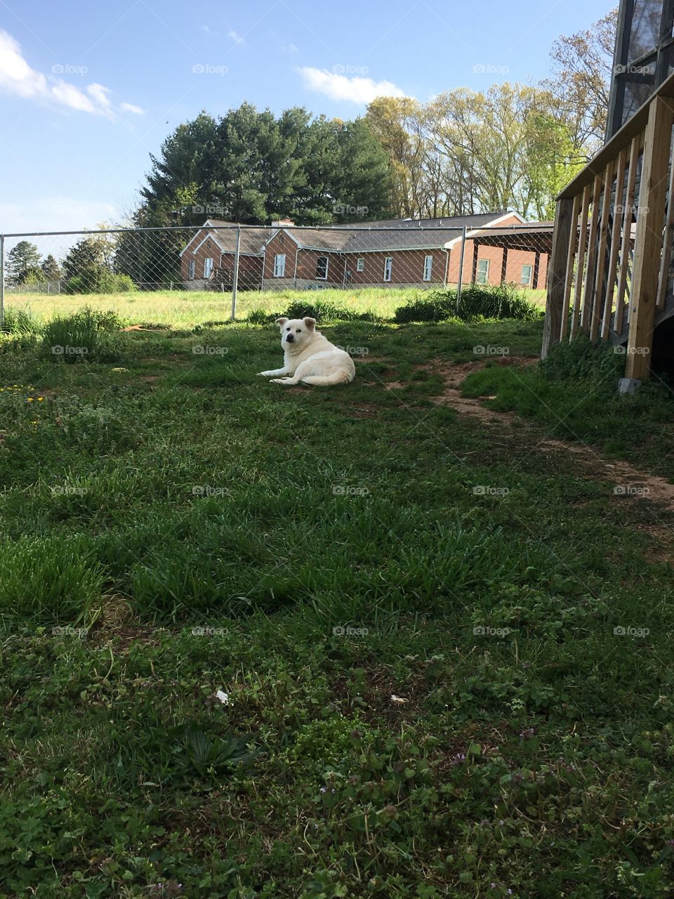 Pretty day to be outside!