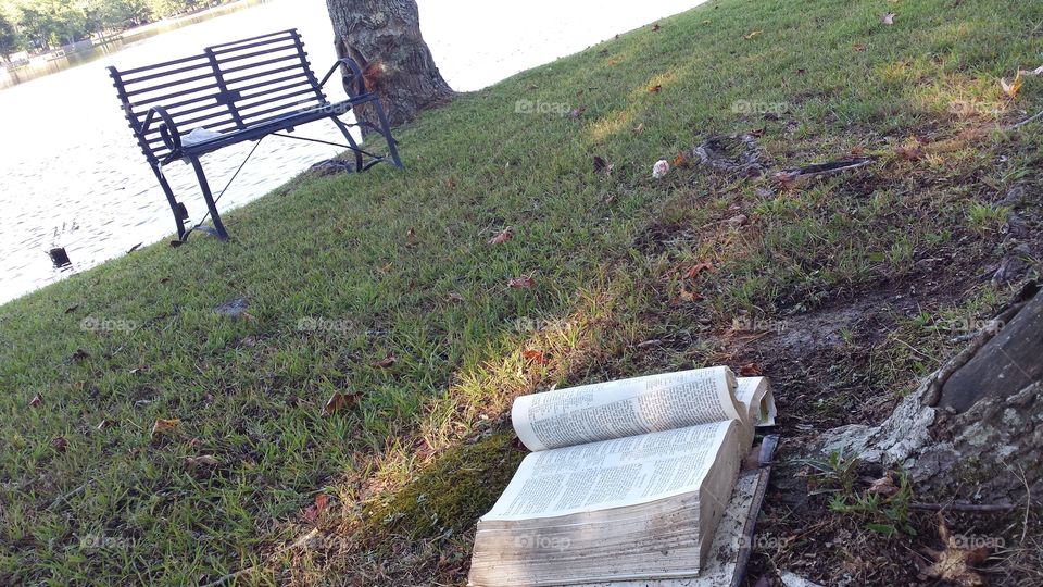 Bible left on the ground by lake, tree and bench