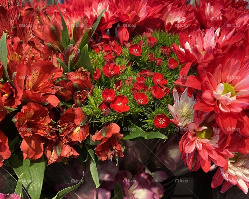 An assortment of red flowers 
