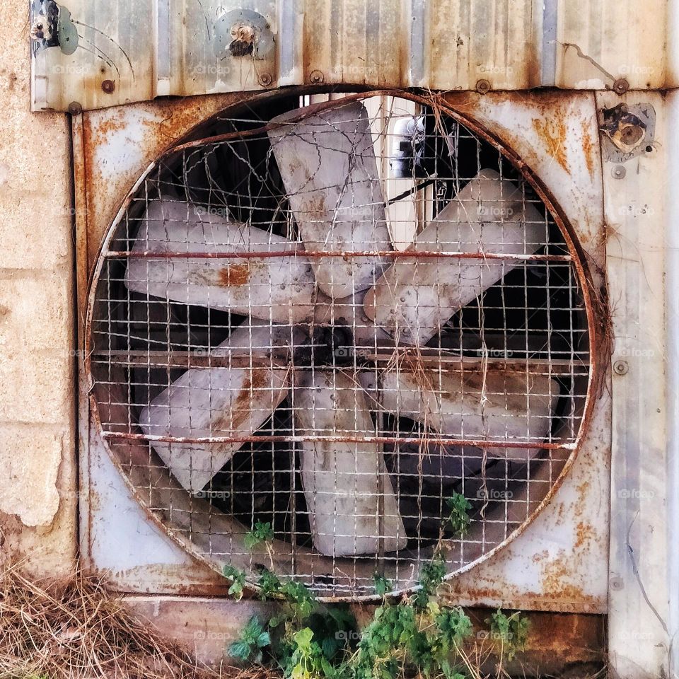 The rusty Fan