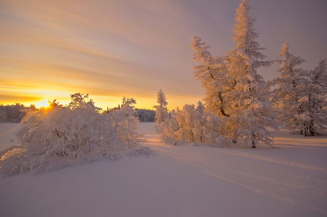 winter freezing