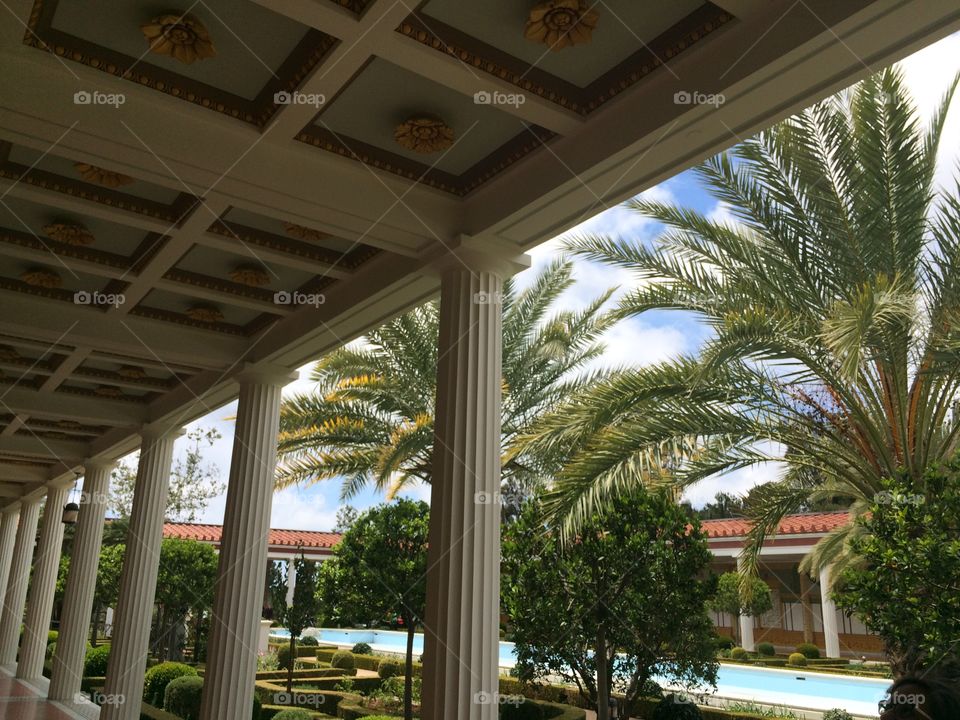 Pillars and Palm trees