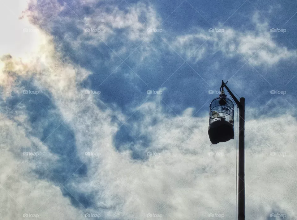 Bird cage