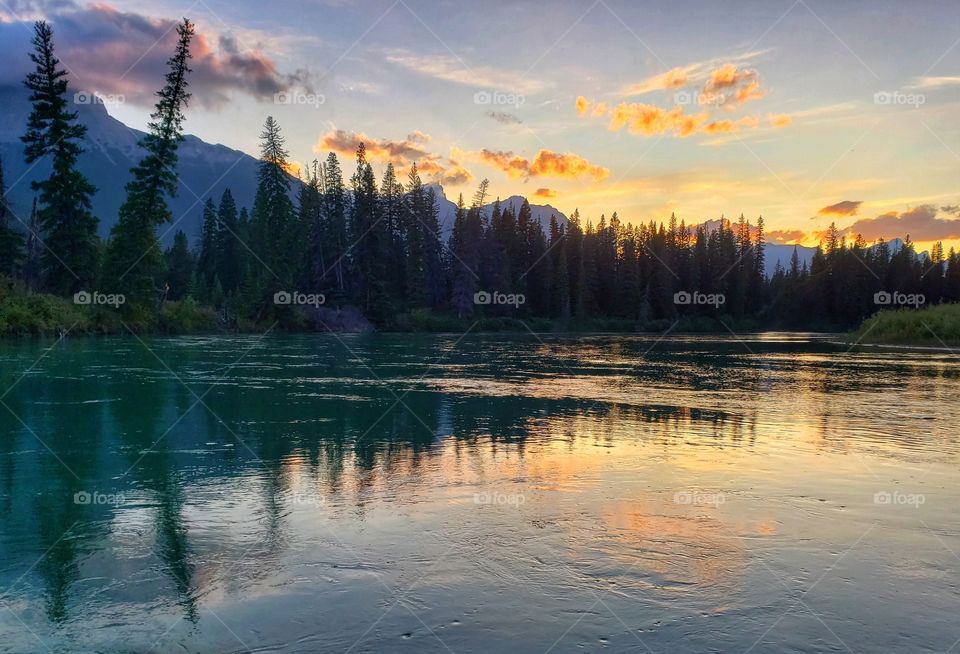 Sunset reflections in the forest