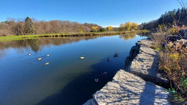 Fall reflections