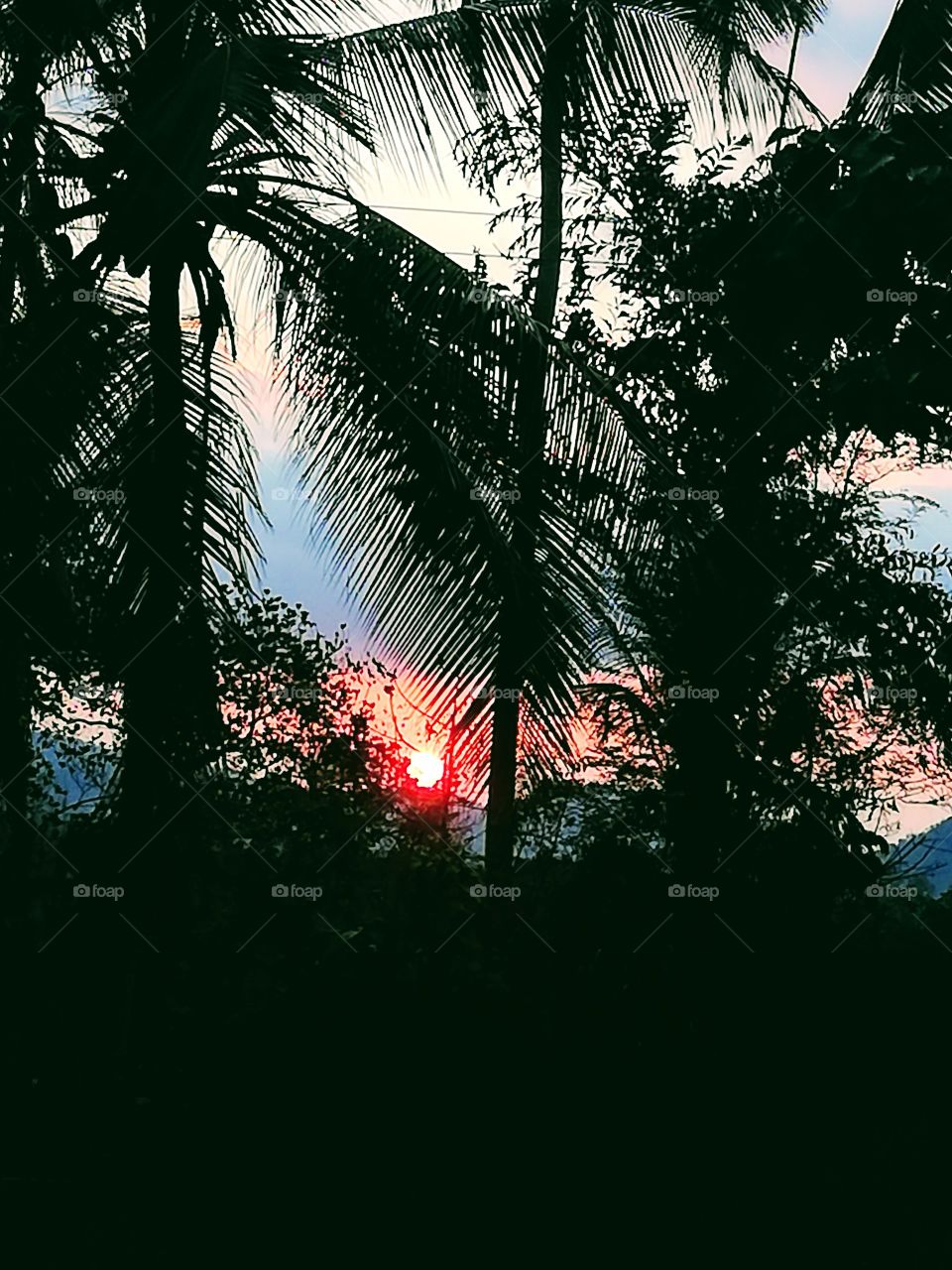 Sunrises and sunsets of our planet