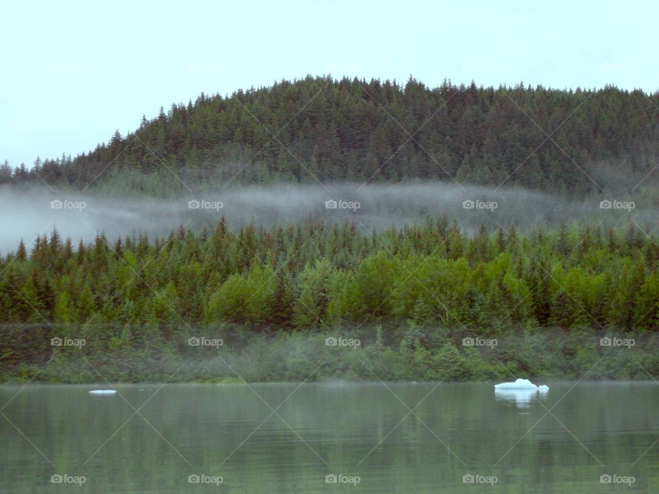 Foggy morning in alaska