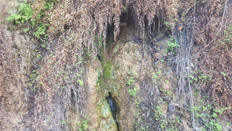 springs in caprock wall