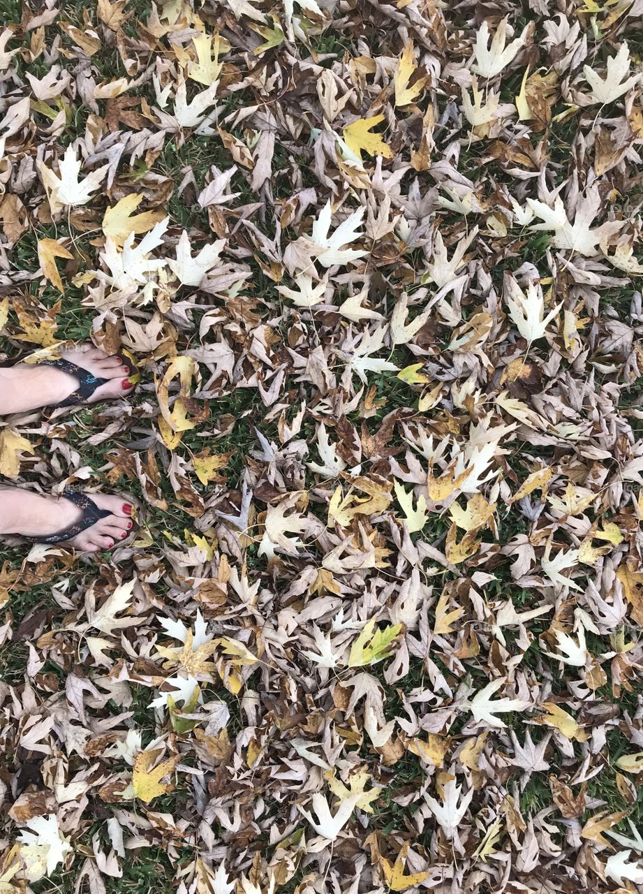 My feet in the leaves