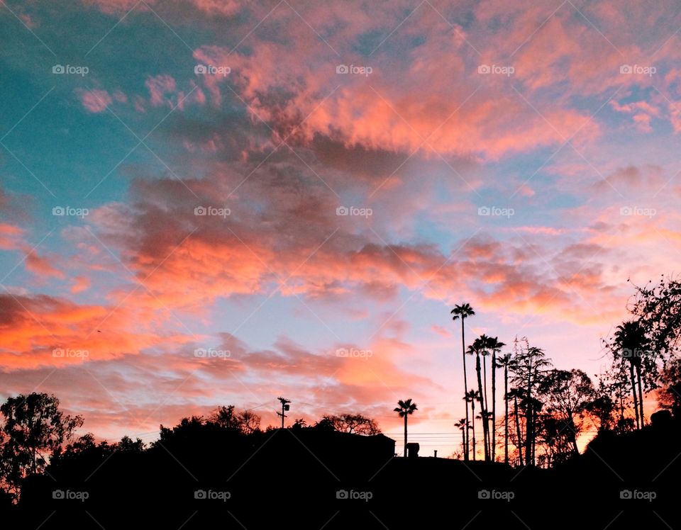 Los Angeles Sunset 