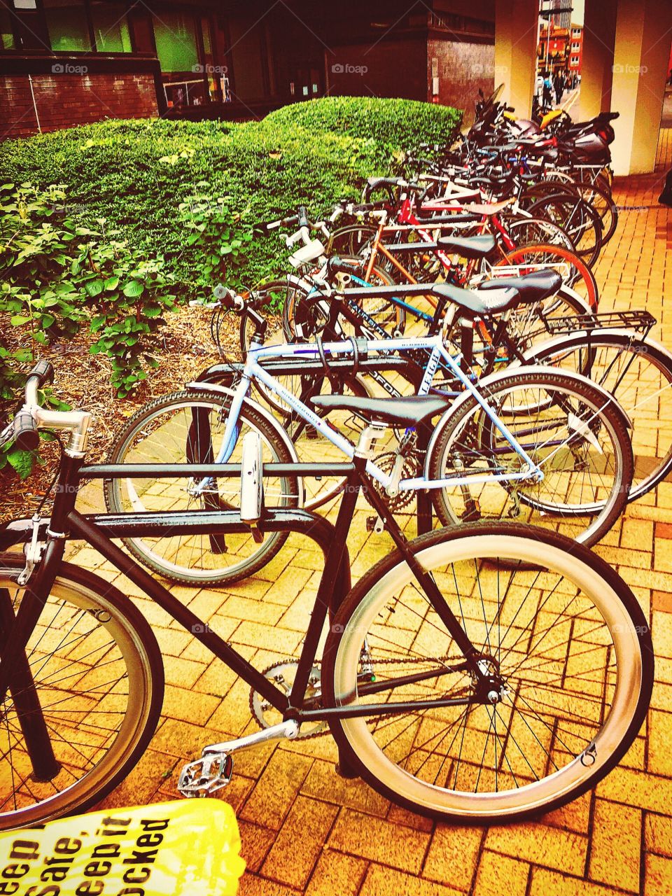 Row of bicycles . Student bikes outside university 